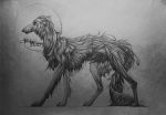  2017 absurd_res ambiguous_gender canid canine canis domestic_dog feral fur hi_res mammal monochrome paws solo standing traditional_media_(artwork) volinfer 