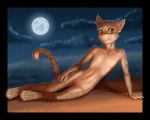  2019 5:4 6_nipples anthro cloud crotch_tuft dungeons_and_dragons eddiew felid feline female flat_chested fur genitals grass hasbro looking_at_viewer mammal moon multi_nipple navel night nipples nude outside pussy sky slim smile solo star starry_sky tabaxi tuft wizards_of_the_coast yellow_eyes 