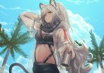  1girl absurdres animal_ears arknights arm_behind_head black_scarf blue_sky breasts cat_ears cleavage cloud crop_top day fixro2n hair_over_one_eye highres holding long_hair looking_at_viewer medium_breasts midriff navel parted_lips scarf schwarz_(arknights) silver_hair sky solo stomach tree very_long_hair yellow_eyes 