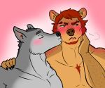  after_sex anthro canid canine canis cute_face duo facial_hair freckles glowing grumpy hair male male/male mammal playful red_hair shy ursid wolf 