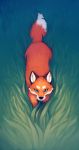  2020 absurd_res ambiguous_gender black_ears black_nose canid canine color_fox feral fox fur grass hi_res high-angle_view looking_at_viewer mammal orange_body orange_fur orange_tail solo white_body white_fur white_tail 
