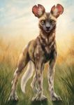  2020 african_wild_dog ambiguous_gender black_nose brown_body brown_fur canid canine cloud feral full-length_portrait fur grass hi_res inner_ear_fluff kebi looking_at_viewer mammal outside portrait sky solo spots spotted_body spotted_fur tan_body tan_fur tuft whiskers white_body white_fur 