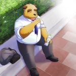  1:1 2014 anthro belly black_nose blush bottomwear brown_body brown_fur canid canine canis clothing domestic_dog emufu eyes_closed fur kemono male mammal necktie outside overweight overweight_anthro overweight_male pants shirt solo topwear 