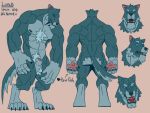 anthro barazoku canid canine canis himbo male mammal model_sheet muscular were werecanid werecanine werewolf wolf 