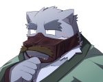  2016 5:4 anthro clothing emufu humanoid_hands kemono male mammal mask overweight overweight_anthro overweight_male portrait robe simple_background solo white_background 