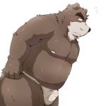  1:1 2017 anthro asian_clothing blush bodily_fluids brown_body brown_fur bulge clothing east_asian_clothing emufu fundoshi fur genital_fluids japanese_clothing kemono male mammal overweight overweight_anthro overweight_male precum simple_background solo underwear ursid white_background 