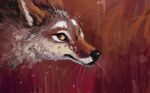  2015 abstract_background absurd_res ambiguous_gender black_nose brown_body brown_fur canid canine canis coyote feral fur hi_res mammal snowfoxatheart whiskers white_body white_fur 