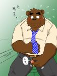  2020 anthro belly blush bodily_fluids bottomwear brown_body brown_fur clothing fur genitals japanese_text kemono male mammal necktie overweight overweight_anthro overweight_male pants penis shibatanukiti shirt sitting solo sweat text topwear ursid 