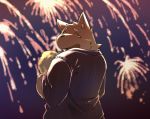  2015 anthro canid canine canis clothing diru11 domestic_dog eyes_closed fireworks kemono male mammal night outside robe solo 