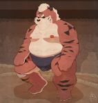  2020 absurd_res anthro belly clothed clothing distracting_watermark felid group hi_res kemono male mammal moobs nipples overweight overweight_male pantherine piero03432812 solo_focus sumo tiger watermark 