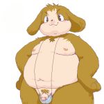  1:1 2008 anthro belly brown_body brown_fur canid canine canis clothing domestic_dog fur genitals low_res male mammal moobs nipples overweight overweight_male penis pubes simple_background underwear white_background woory yamashita_uri young 