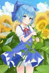  1girl :o bangs blouse blue_dress blue_eyes blue_hair blue_sky blush bow chinese_commentary cirno cloud collared_blouse collared_shirt commentary_request cowboy_shot day dishiren dress eyebrows_visible_through_hair field flower flower_field frilled_sleeves frills hair_bow half_updo hand_up highres holding holding_flower ice ice_wings looking_at_viewer neck_ribbon open_mouth outdoors petals pinafore_dress plant puffy_sleeves red_neckwear red_ribbon ribbon shirt short_hair sidelocks sky sunflower sunflower_petals touhou upskirt water_drop white_blouse white_shirt wing_collar wings yellow_flower 