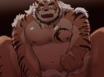  1boy animal_ears bara blue_eyes blush bulge chest come_hither facial_hair furry highres hombre_tigre_(tokyo_houkago_summoners) male_focus muscle nipples pectorals sawch_cls shirtless short_hair solo thick_eyebrows thick_thighs thighs tiger_boy tiger_ears tokyo_houkago_summoners white_hair 