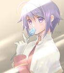  1girl acolyte_(ragnarok_online) bangs blue_flower brown_shirt capelet closed_mouth commentary eyebrows_visible_through_hair flower gloves hair_between_eyes holding holding_flower kotoharu long_sleeves looking_at_viewer purple_eyes purple_hair ragnarok_online ragnarok_origin shirt short_hair signature solo upper_body white_capelet white_gloves 