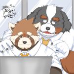  1:1 2020 ailurid anthro bernese_mountain_dog black_body black_fur black_nose blush brown_body brown_fur canid canine canis clothing domestic_dog duo fur hi_res humanoid_hands kemono male male/male mammal molosser mountain_dog necktie overweight overweight_male red_panda shirt swiss_mountain_dog tanutronik753_k topwear white_body white_fur 