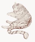  2020 ambiguous_gender black_stripes digital_media_(artwork) felid feral fur hi_res looking_at_viewer mammal pantherine simple_background solo striped_body striped_fur stripes tiger whiskers white_background yasmil 