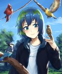  1girl alternate_costume bangs bird bird_on_hand bird_request blue_eyes blue_hair blue_jacket clothes_writing cloud earth-chan green_hair hand_up highres jacket multicolored_hair open_clothes open_jacket original outdoors shinidei shirt short_hair sky smile solo tree tree_branch upper_body white_shirt 