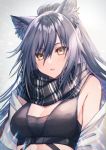  1girl animal_ear_fluff animal_ears arknights bangs bare_shoulders black_scarf breasts cat_ears chromatic_aberration cleavage commentary_request crop_top grey_background hair_between_eyes koyukomu long_hair looking_at_viewer medium_breasts off_shoulder parted_lips revision scarf schwarz_(arknights) silver_hair sleeveless solo upper_body yellow_eyes 