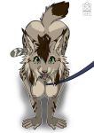  all_fours alpha_channel anthro breasts canadian_lynx collar felid feline female leash licking lynx mammal nicole_(nicnak044) nievaris nipples open_mouth petplay roleplay solo tongue tongue_out 