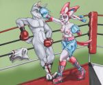  2019 anthro black_eye_(injury) blood bodily_fluids boots boxing_gloves boxing_trunks brown_hair bruised canid canine canis clothed clothing dcheese eeveelution female fighting_ring footwear fur genitals grey_body grey_fur hair handwear humanoid_genitalia humanoid_penis male mammal masturbation nintendo nipples penis pink_body pink_fur pink_tail pok&eacute;mon pok&eacute;mon_(species) ribbons short_tail simple_background smug sport sweat sylveon topless traditional_media_(artwork) video_games white_body white_fur wolf 
