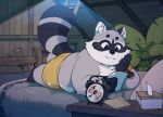  2020 anthro bed black_nose bonasiah bottomwear butt clothing detailed_background fur furniture grey_body grey_fur hi_res kemono lying male mammal night overweight overweight_anthro overweight_male pillow procyonid quanjiang raccoon reading rocco_(zoohomme) shorts solo zoohomme 