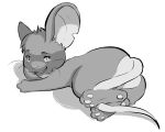  2014 ambiguous_gender arm_support dacad leaning_on_elbow looking_at_viewer lying mammal monochrome mouse murid murine notched_ear rodent semi-anthro simple_background smile solo tail_between_legs transformice white_background 