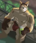  absurd_res anthro barazoku big_breasts breasts canid canine canis domestic_dog hi_res lgbt_pride male male/male mammal muscular solo torusop 