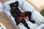  anthro black_body black_fur bottomwear bulge canid canine canis clothed clothing coffee_cup comfy corwolf detailed_background eyes_closed front_view fur furniture genital_outline grey_body grey_fur hand_behind_head high-angle_view holding_bulge inside looking_pleasured lying male mammal masturbation masturbation_through_clothing muscular muscular_anthro muscular_male on_back on_sofa open_mouth paws plant potted_plant red_bottomwear red_clothing red_shorts relaxing sheath_outline shorts snout sofa solo through_clothing topless wagnermutt wolf wood_floor 