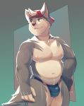  2020 absurd_res anthro bulge canid canine canis clothed clothing digital_media_(artwork) heterochromia hi_res male mammal muscular muscular_anthro muscular_male rookie_bear signature solo topless wolf 
