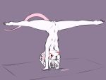  2020 4:3 anthro braided_hair breasts claws digital_drawing_(artwork) digital_media_(artwork) facial_markings female flexible front_view genitals hair halcy0n handstand head_markings hi_res looking_aside mammal markings mat murid murine navel nipples nude pink_nose plantigrade purple_background pussy rat rodent simple_background small_breasts small_waist smile solo splits spread_legs spreading upside_down white_body white_hair 