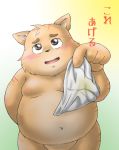  2016 anthro blush clothing dekatanu domestic_cat felid feline felis japanese_text kemono male mammal overweight overweight_male text underwear young 