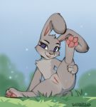  2020 anthro anus bodily_fluids butt castitas clitoris disney featureless_chest female flat_chested genital_fluids genitals grass hi_res holding_leg judy_hopps lagomorph leporid looking_at_viewer mammal nude outside pose presenting presenting_pussy pussy pussy_juice rabbit solo spread_legs spreading zootopia 