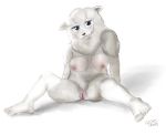  aleks_howes anthro beastars bovid breasts caprine female fur genitals hi_res mammal nude pussy sebun_(beastars) sheep solo wool_(fur) 