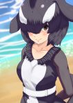  1girl arms_behind_back bangs beach belt black_hair blowhole blush brown_eyes closed_mouth collarbone day dolphin_tail dorsal_fin dress frills gakukuru hair_over_one_eye head_fins kemono_friends long_sleeves looking_at_viewer medium_hair multicolored_hair orca_(kemono_friends) outdoors parted_bangs sand smile solo tail two-tone_hair upper_body water white_hair 