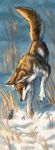  2020 4_toes black_nose brown_body brown_fur canid canine canis day detailed_background digital_media_(artwork) duo feral flashw fur male mammal mouse murid murine outside paws rodent snow toes white_body white_fur wolf 