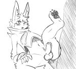  2015 anthro balls blush bottomless clothed clothing dacad erection genitals lagomorph leporid male male/male mammal monochrome penis rabbit simple_background sketch white_background 