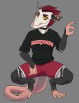  anthro didelphid female hi_res mammal marsupial opossum_anthro sitting solo 