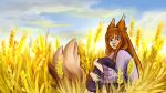  16:9 animal_humanoid bone canid canid_humanoid canine canine_humanoid canis cloudy female fennefox field fluffy fluffy_tail fur hair hi_res holo human humanoid long_hair mammal mammal_humanoid portrait shy sitting skeleton solo spice_and_wolf wallpaper widescreen wolf_humanoid 