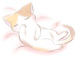  cat cat_focus mitsuki_hina no_humans original sleeping 
