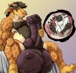 2021 animal_genitalia animal_penis anthro balls bed belly big_balls big_penis bodily_fluids body_hair body_outline brown_hair bulge chest_hair cock_vore colored cum cum_covered dated domestic_cat duo duster_(dustafyer7) equine_genitalia equine_penis erection erez_(rmwx) feet felid feline felis fur furniture genital_fluids genitals giraffe giraffid gradient_background hair hi_res holding_penis horn huge_balls huge_penis hybrid_genitalia hybrid_penis hyper hyper_balls hyper_genitalia hyper_penis inside_balls internal knot knotted_equine_penis knotted_penis male male/male male_pred male_prey mammal messy musclegut muscular nipples nude nude_male nude_pred nude_prey on_bed orange_body orange_fur pandottermon penile penis precum signature simple_background sitting smile spread_legs spreading tail teeth vore white_body white_fur willing_pred 
