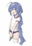  1girl ahoge azulasi blue_buruma blue_hair breasts buruma commentary cropped_legs fang gym_uniform hairband highres holding long_hair looking_at_viewer open_mouth otomachi_una shirt simple_background skin_fang small_breasts solo thighhighs twintails very_long_hair vocaloid white_background white_shirt white_thighhighs 