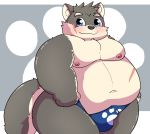  2020 absurd_res anthro asian_clothing belly blue_eyes bulge canid canine canis clothing domestic_dog east_asian_clothing fundoshi hi_res japanese_clothing kemono kusosensei male mammal moobs moritaka nipples overweight overweight_anthro overweight_male scar solo tokyo_afterschool_summoners underwear video_games 