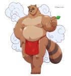  2020 absurd_res anthro asian_clothing belly brown_body brown_fur canid canine clothing east_asian_clothing fundoshi fur hi_res japanese_clothing jumperbear kemono leaf male mammal moobs nipples one_eye_closed overweight overweight_anthro overweight_male raccoon_dog simple_background solo tanuki underwear wink 