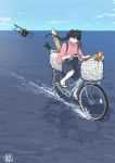  1girl aircraft aircraft_request airplane artist_logo bag bicycle black_hair black_hakama blue_sky box cloud day flight_deck groceries ground_vehicle hakama hakama_skirt houshou_(kantai_collection) japanese_clothes kantai_collection kimono looking_back mihama_machi ocean on_water outdoors pink_kimono plastic_bag ponytail riding sky solo spring_onion tasuki 