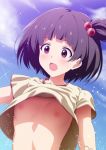  1girl :o bangs blue_sky blush breasts commentary_request day grey_shirt hair_bobbles hair_ornament highres idolmaster idolmaster_million_live! looking_down mumumu_(road) nakatani_iku nipples no_bra one_side_up open_mouth outdoors purple_eyes purple_hair shirt short_hair short_sleeves sky small_breasts solo sparkle upper_body upshirt 