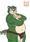  2020 anthro belly bulge canid canine canis clothing domestic_dog fur green_body green_fur hi_res live-a-hero male mammal mokdai navel overweight overweight_anthro overweight_male red_panda_mirr simple_background solo underwear video_games 
