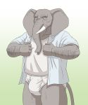  2020 anthro bulge clothing elephant elephantid humanoid_hands jacklantern_11 kemono male mammal proboscidean shirt simple_background solo topwear underwear 