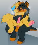  2020 anal anal_penetration animal_genitalia animal_penis anthro anthro_on_anthro anthro_penetrated anthro_penetrating anthro_penetrating_anthro balls black_body black_fur blush canid canine canine_penis canis chair_position crownedvictory domestic_dog duo embrace erection from_behind_position fur genitals hi_res knot male male/male male_penetrated male_penetrating male_penetrating_male mammal pawpads paws penetration penis pink_pawpads pink_penis sex simple_background tagme yellow_body yellow_fur 
