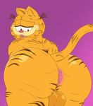  anthro anus balls bent_over big_butt black_stripes butt digital_drawing_(artwork) digital_media_(artwork) domestic_cat felid feline felis fur garfield_(series) garfield_the_cat genitals hi_res looking_at_butt male mammal mkcrown nude open_mouth orange_body orange_fur overweight overweight_anthro overweight_male presenting presenting_hindquarters simple_background solo stripes thick_thighs 