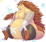  2020 absurd_res anthro belly biped blush brown_body brown_fur chiro_(artist) eulipotyphlan fur hedgehog hi_res kemono majiro_the_hedgehog mammal overweight overweight_anthro sitting sleepy_princess_in_the_demon_castle solo 